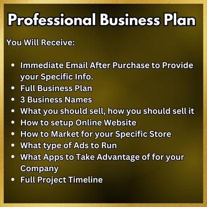 Professional Business Plan